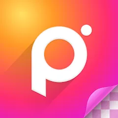 Polish Mod APK Download